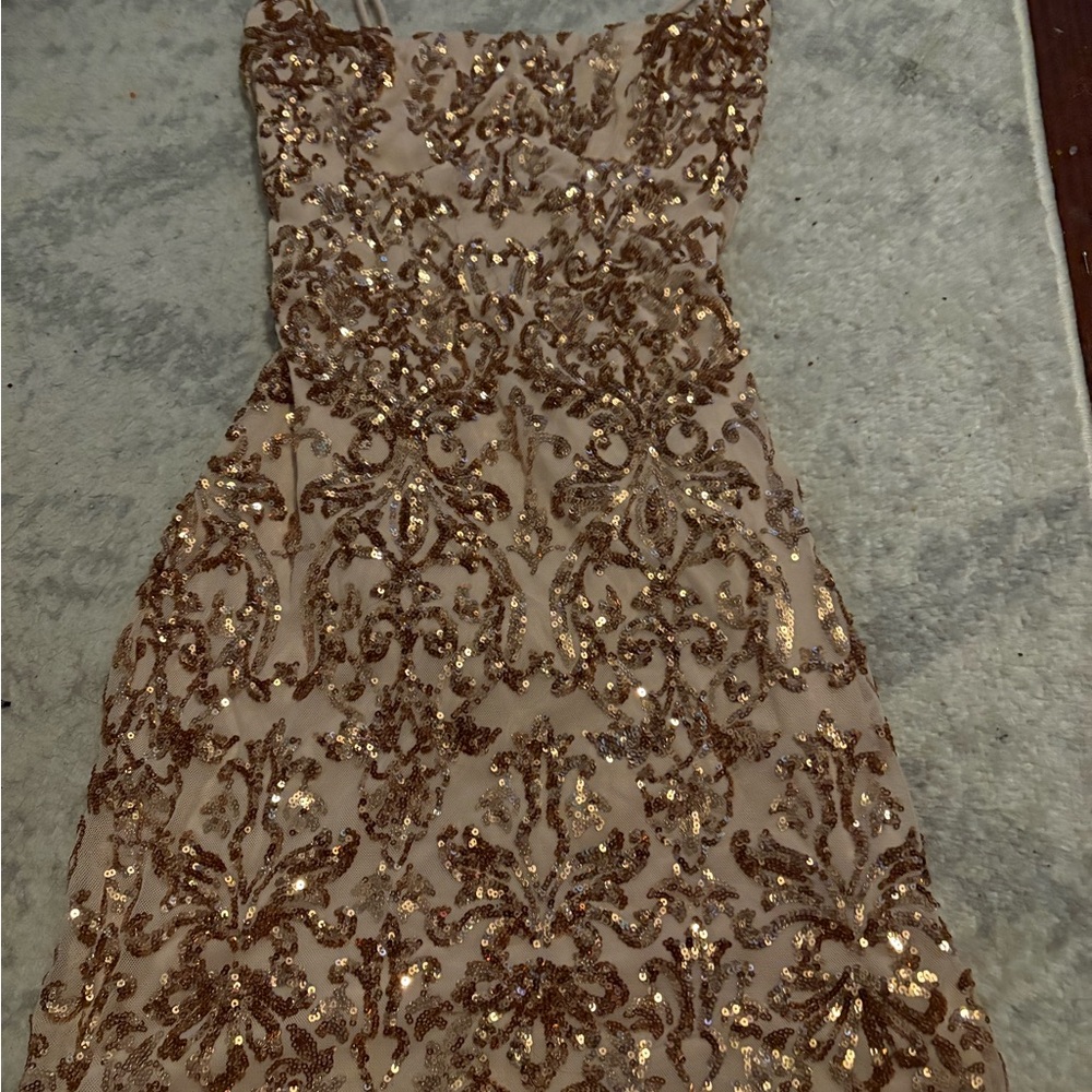Windsor Elegant Sequin Embellished Dress
